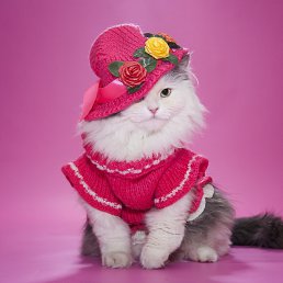 https://upforme.ru/uploads/0019/3a/78/4/t16126.jpg