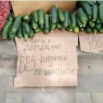 https://upforme.ru/uploads/0019/3a/78/4/t165851.jpg