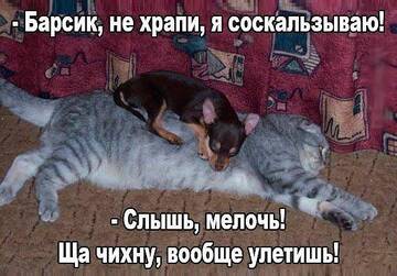 https://upforme.ru/uploads/0019/3a/78/4/t21224.jpg