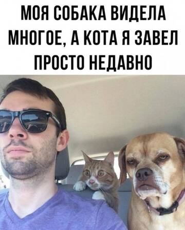 https://upforme.ru/uploads/0019/3a/78/4/t593719.jpg