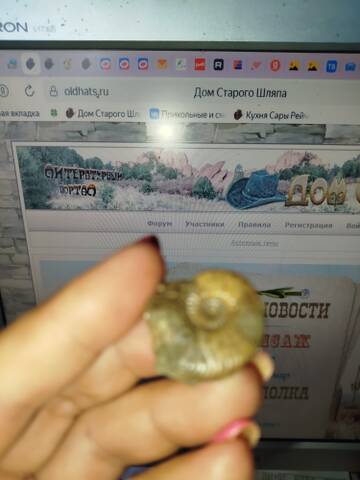 https://upforme.ru/uploads/0019/3a/78/4/t621064.jpg