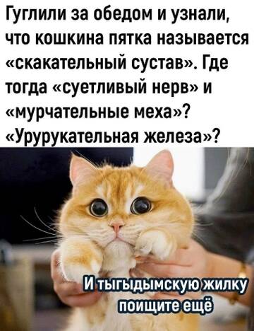 https://upforme.ru/uploads/0019/3a/78/6/t104870.jpg