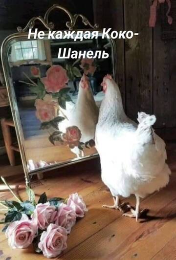 https://upforme.ru/uploads/0019/3a/78/6/t105333.jpg