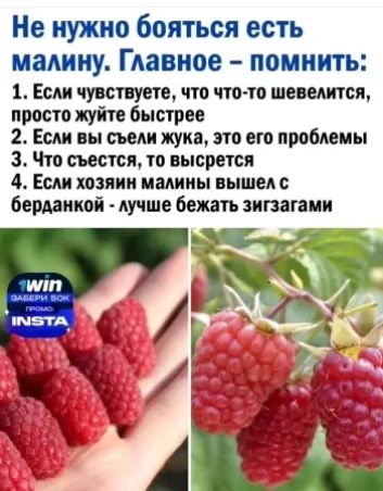 https://upforme.ru/uploads/0019/3a/78/6/t120470.jpg