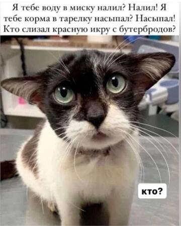 https://upforme.ru/uploads/0019/3a/78/6/t138191.jpg