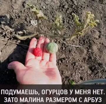 https://upforme.ru/uploads/0019/3a/78/6/t14796.jpg
