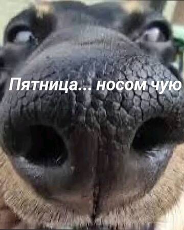 https://upforme.ru/uploads/0019/3a/78/6/t330314.jpg