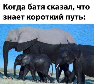 https://upforme.ru/uploads/0019/3a/78/6/t352726.jpg