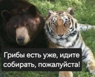 https://upforme.ru/uploads/0019/3a/78/6/t404946.jpg