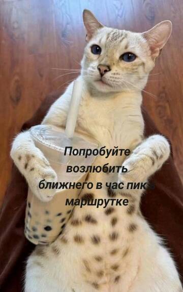 https://upforme.ru/uploads/0019/3a/78/6/t405038.jpg