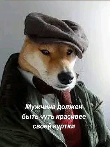 https://upforme.ru/uploads/0019/3a/78/6/t538057.jpg
