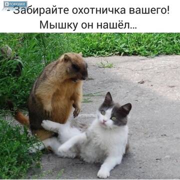 https://upforme.ru/uploads/0019/3a/78/6/t621390.jpg