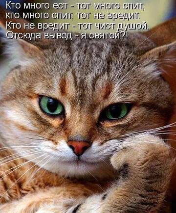https://upforme.ru/uploads/0019/3a/78/6/t622672.jpg
