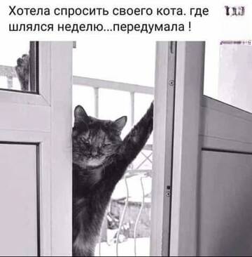https://upforme.ru/uploads/0019/3a/78/6/t745928.jpg