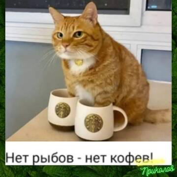 https://upforme.ru/uploads/0019/3a/78/6/t764710.jpg