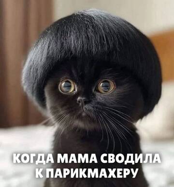 https://upforme.ru/uploads/0019/3a/78/6/t835492.jpg
