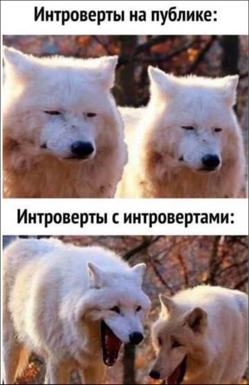 https://upforme.ru/uploads/0019/3a/78/6/t855045.jpg