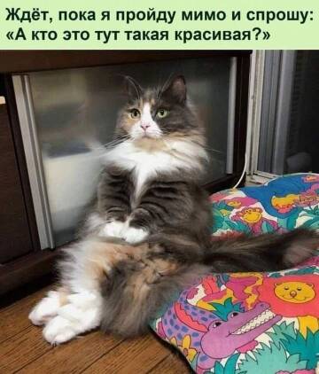 https://upforme.ru/uploads/0019/3a/78/6/t868221.jpg