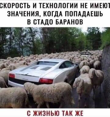 https://upforme.ru/uploads/0019/3a/78/6/t89542.jpg