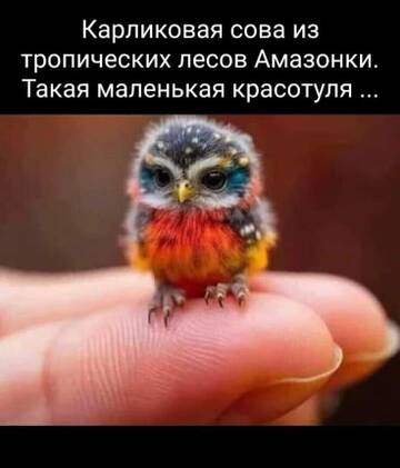 https://upforme.ru/uploads/0019/3a/78/6/t922583.jpg