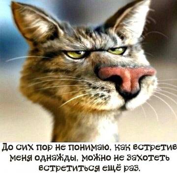 https://upforme.ru/uploads/0019/3a/78/6/t92279.jpg