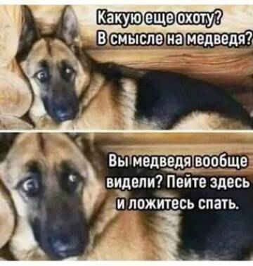 https://upforme.ru/uploads/0019/3a/78/6/t927248.jpg