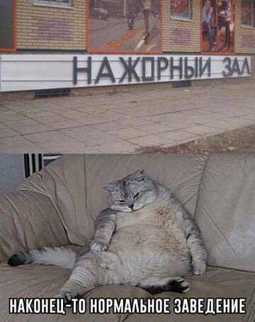 https://upforme.ru/uploads/0019/3a/78/6/t964663.jpg