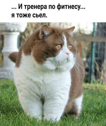 https://upforme.ru/uploads/0019/3a/78/6/t965432.jpg