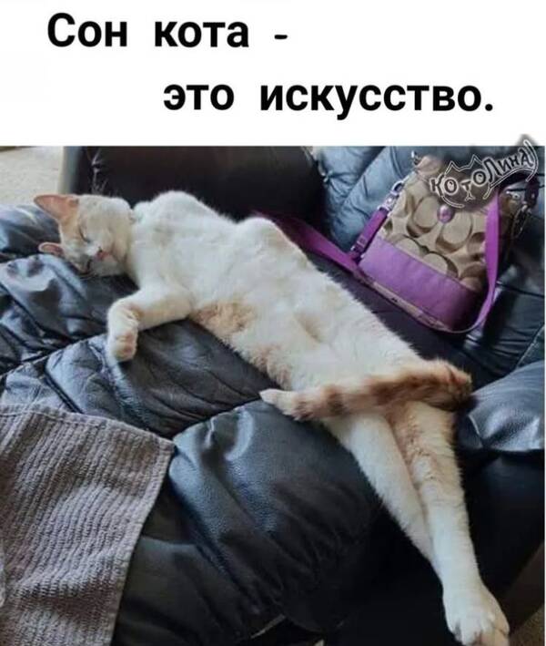 https://upforme.ru/uploads/0019/3a/78/74/t432182.jpg