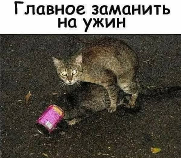 https://upforme.ru/uploads/0019/3a/78/74/t453648.jpg