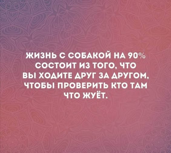 https://upforme.ru/uploads/0019/3a/78/74/t924867.jpg