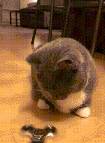 https://upforme.ru/uploads/0019/3c/8c/1019/t233516.gif