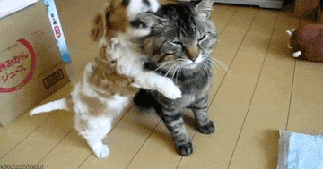 https://upforme.ru/uploads/0019/3c/8c/1019/t831467.gif