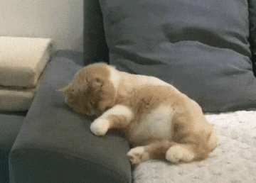 https://upforme.ru/uploads/0019/3c/8c/1019/t85042.gif