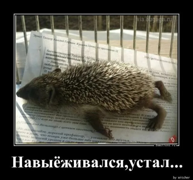 https://upforme.ru/uploads/0019/3c/8c/1445/106068.webp