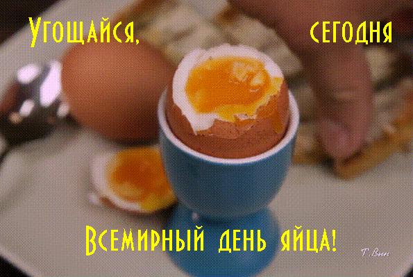 https://upforme.ru/uploads/0019/3c/8c/1445/119616.gif