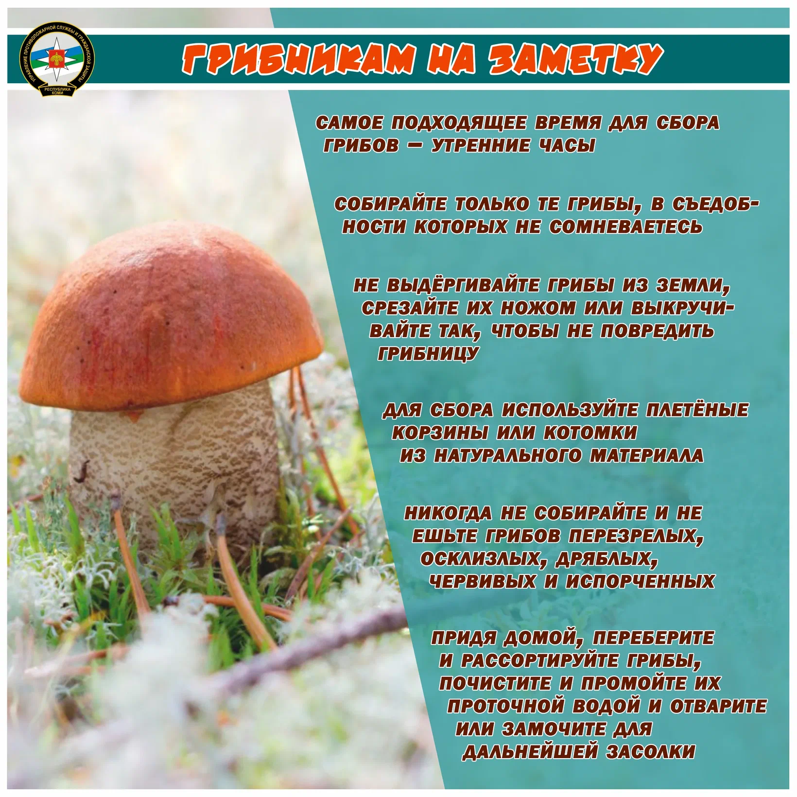 https://upforme.ru/uploads/0019/3c/8c/1445/167032.webp