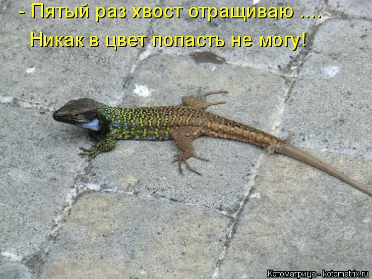 https://upforme.ru/uploads/0019/3c/8c/1445/182278.webp