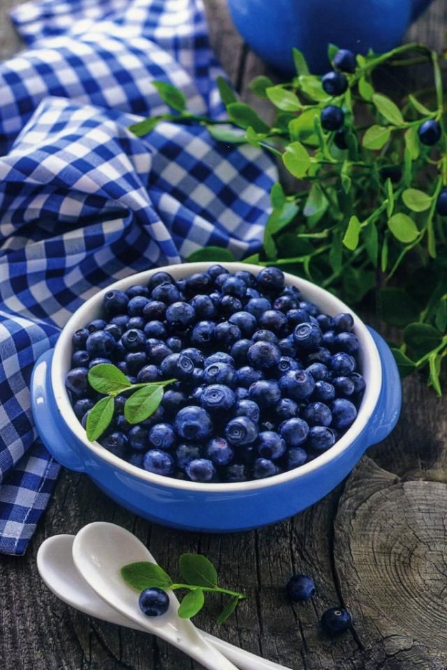 https://upforme.ru/uploads/0019/3c/8c/1445/217551.jpg