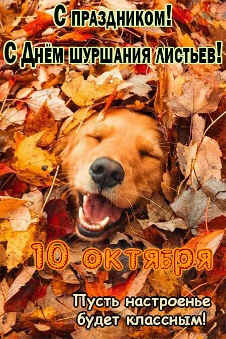 https://upforme.ru/uploads/0019/3c/8c/1445/227867.webp