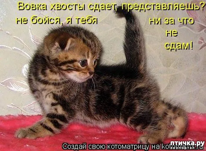 https://upforme.ru/uploads/0019/3c/8c/1445/263877.webp