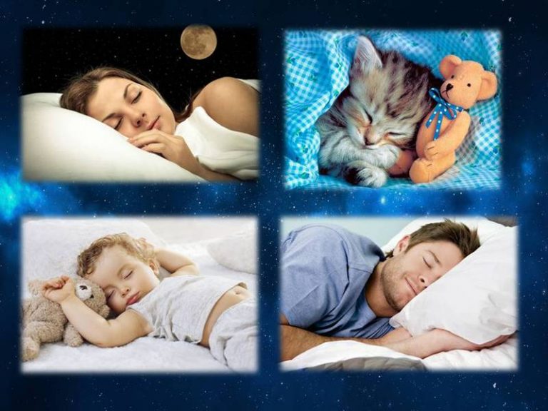 https://upforme.ru/uploads/0019/3c/8c/1445/26421.jpg