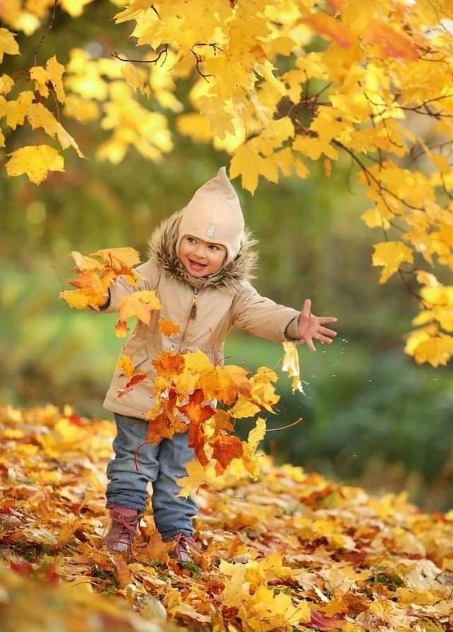 https://upforme.ru/uploads/0019/3c/8c/1445/312240.jpg