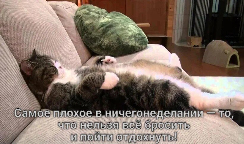 https://upforme.ru/uploads/0019/3c/8c/1445/328039.jpg