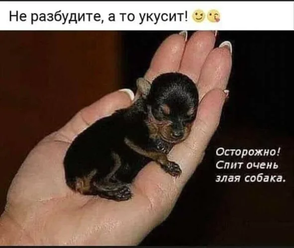 https://upforme.ru/uploads/0019/3c/8c/1445/344762.webp
