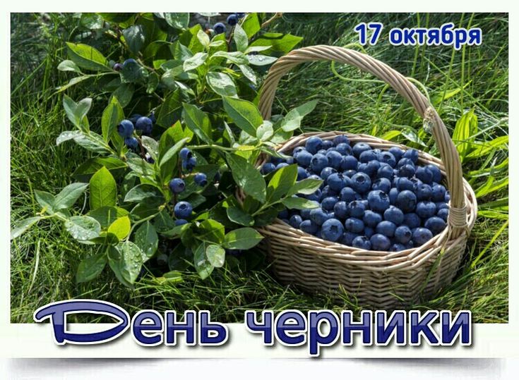 https://upforme.ru/uploads/0019/3c/8c/1445/378770.jpg