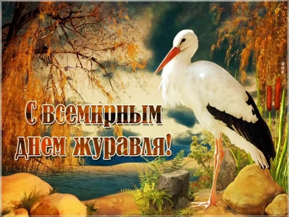 https://upforme.ru/uploads/0019/3c/8c/1445/466411.webp