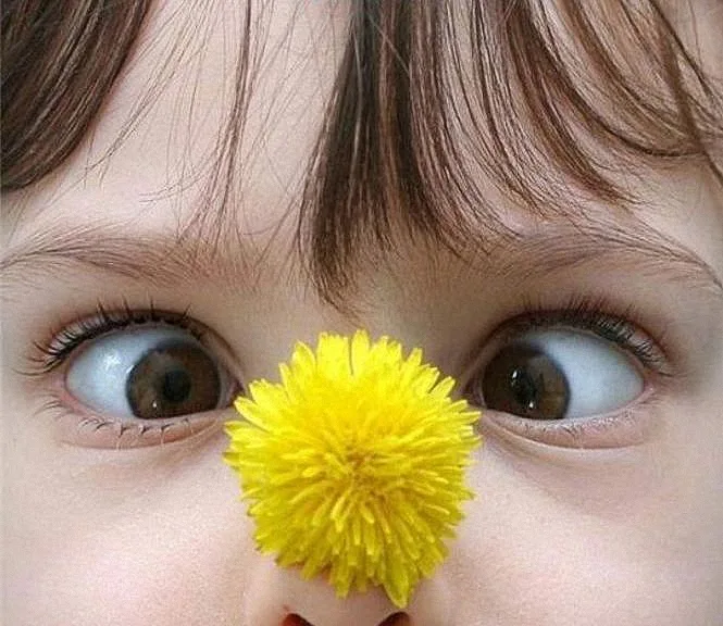 https://upforme.ru/uploads/0019/3c/8c/1445/511183.webp