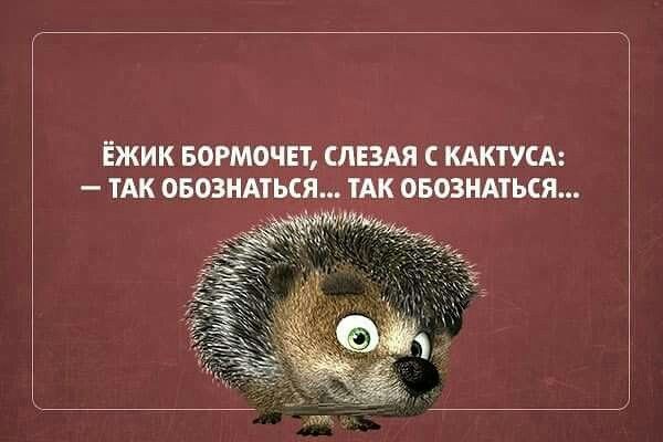 https://upforme.ru/uploads/0019/3c/8c/1445/518590.jpg