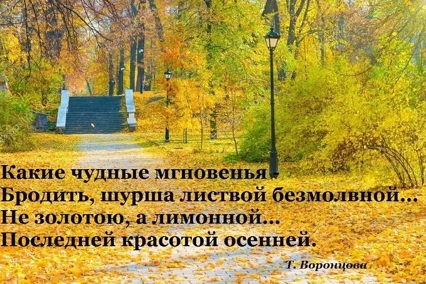 https://upforme.ru/uploads/0019/3c/8c/1445/559835.webp